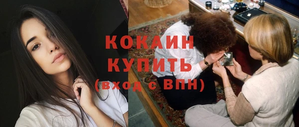 шишки Абинск
