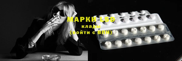 шишки Абинск