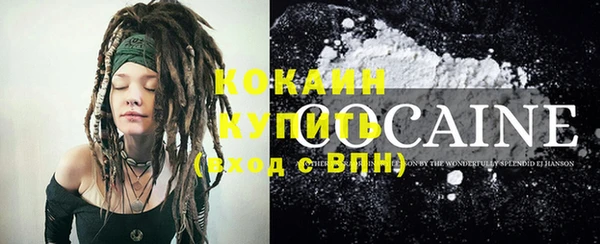 прущий лед Алзамай