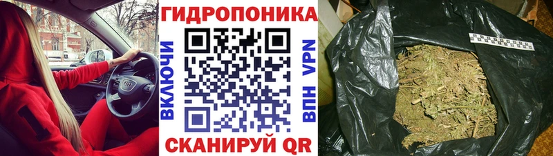 Бошки Шишки Bruce Banner  Россошь 